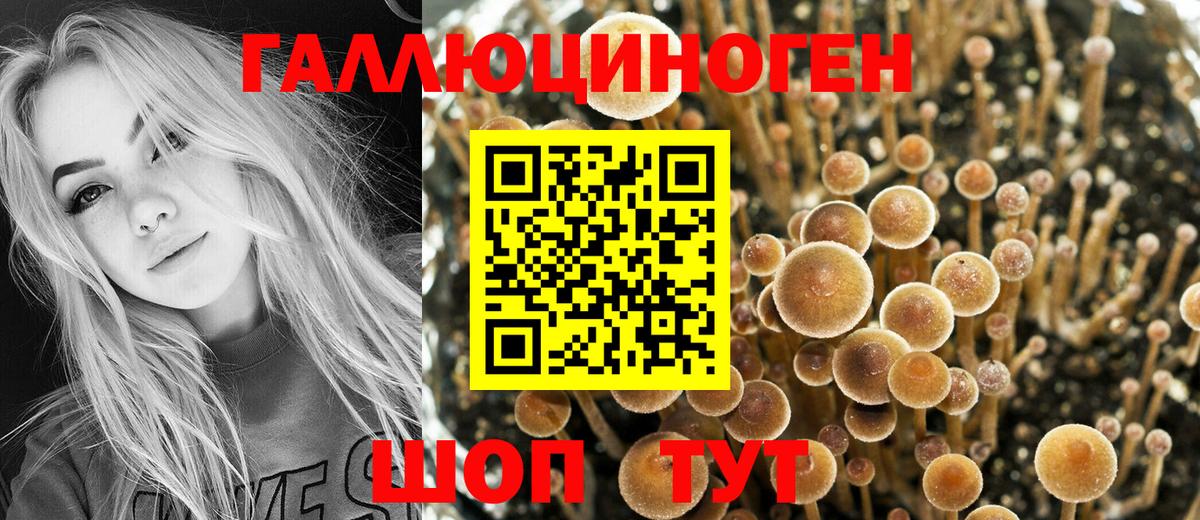 Галлюциногенные грибы MAGIC MUSHROOMS  Вход с VPN  Нальчик 